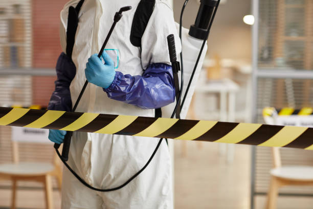 Professional Biohazard technician working in Linden, AZ